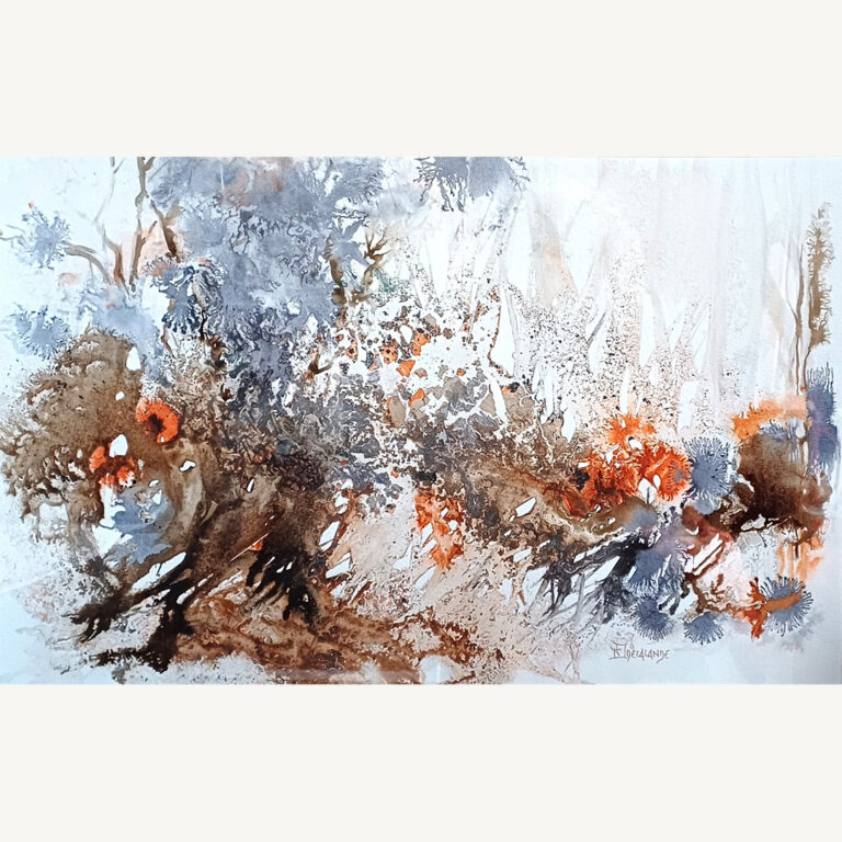 Forêt primaire