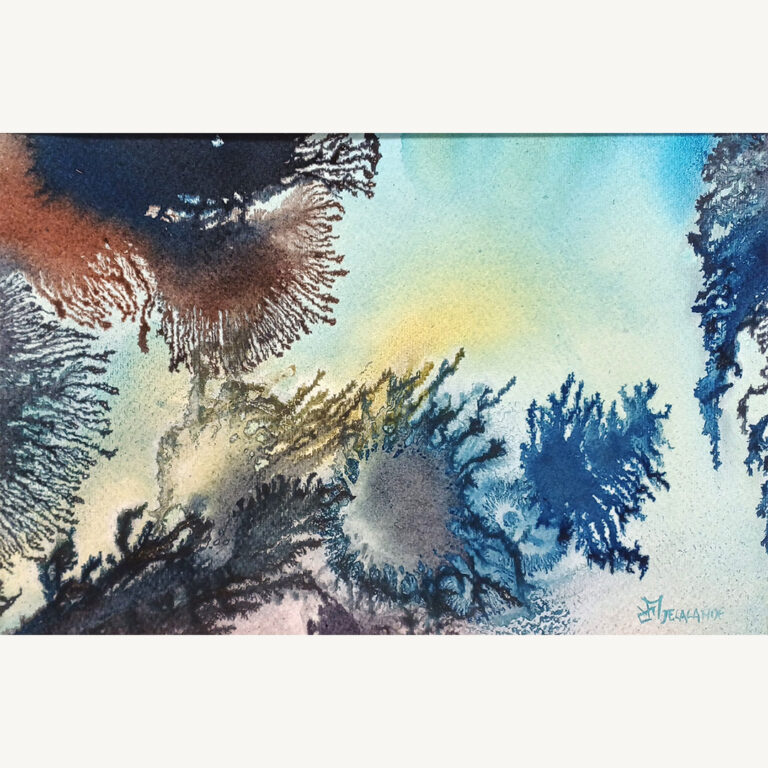 Anémones 2