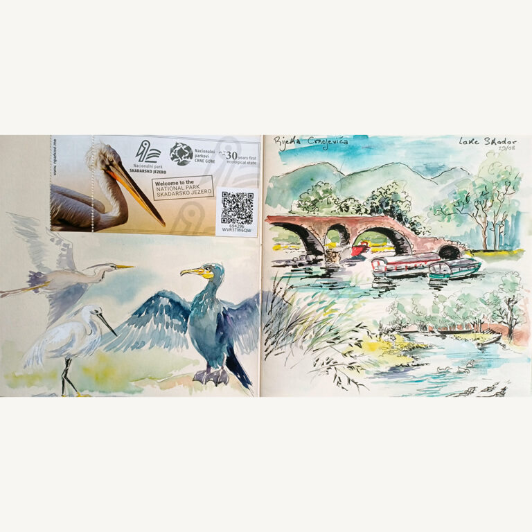 2025 . Carnet de voyage Monténégro