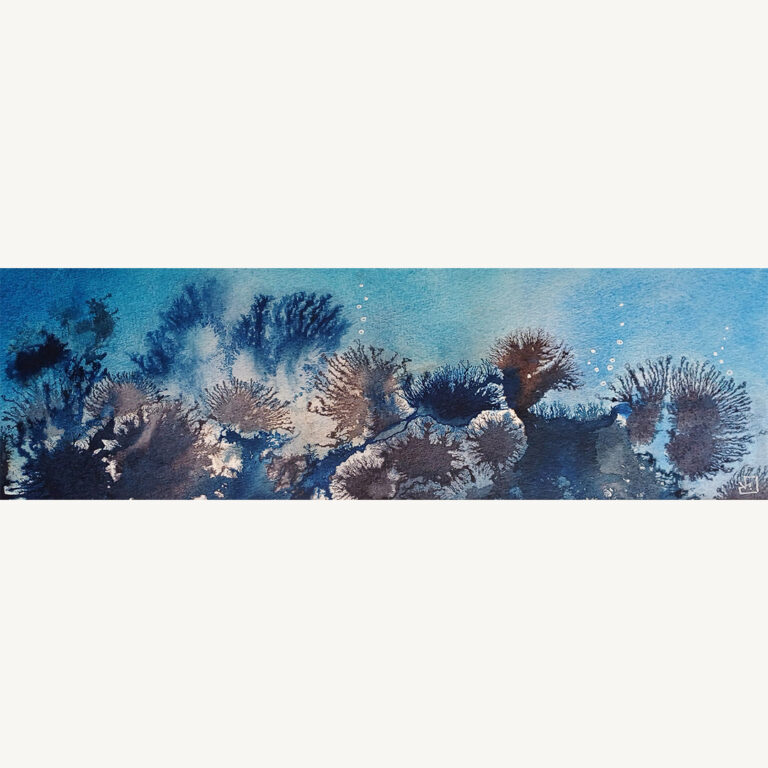 Barrière de corail