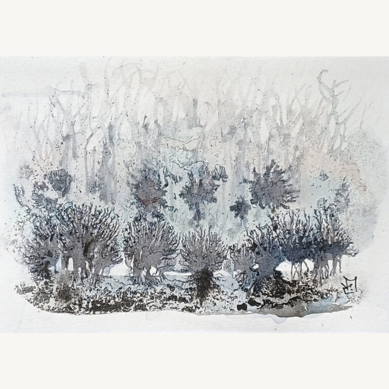 Forêt gris-bleu