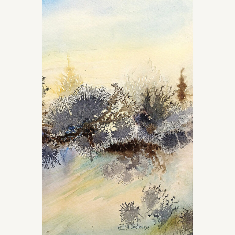 Forêt 2