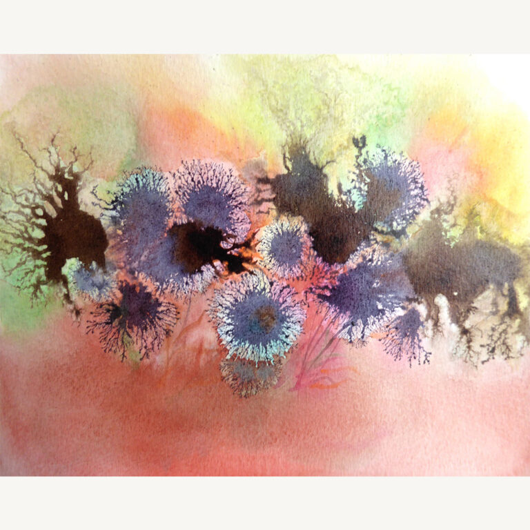 Prairie multicolore