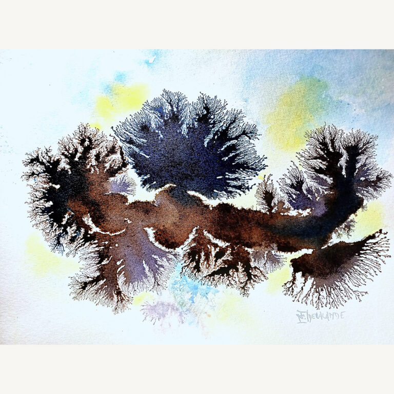 Rhizome